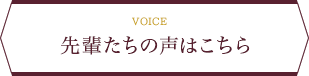 VOICE 先輩たちの声はこちら